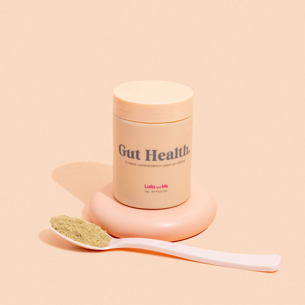 Gut Health Dog Supplement – Trendy Furbabies - Best Dog Supplements For Gut Health