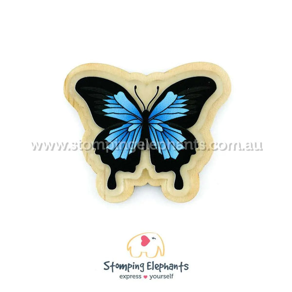 Butterfly Blue Magnet