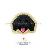Cavoodle (Black) Magnet