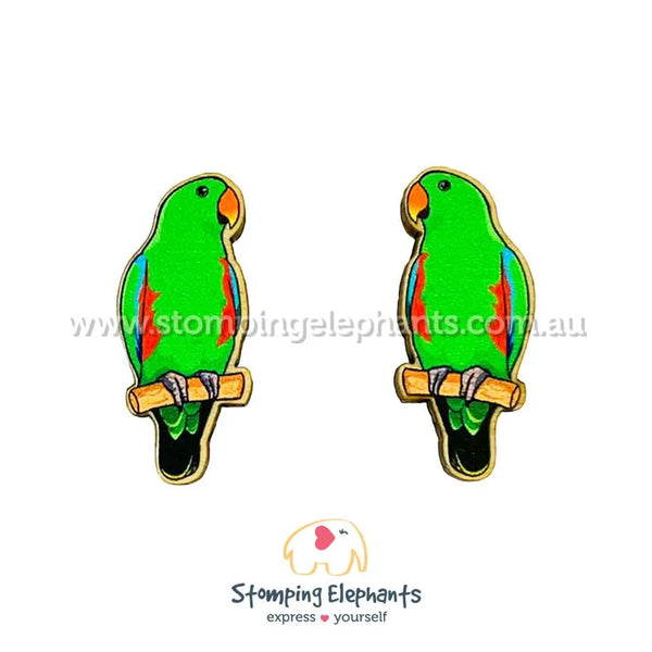 Eclectus Parrot (Green) Studs