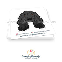 Cocker Spaniel (Black)