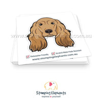 Cocker Spaniel (Tan)