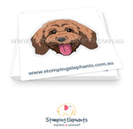 Cavoodle (Brown) Sticker