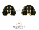 Dachshund (Black Long Haired) Studs