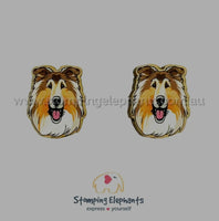 Rough Collie Head Studs