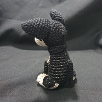 Kelpie Puppy Mini