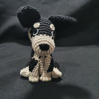 Kelpie Puppy Mini