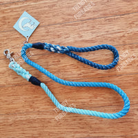 Nova Leash