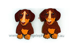 Dachshund (Red & Tan) Studs