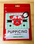 Puppicino- Eggnog
