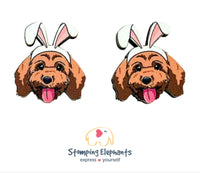 Cavoodle (Brown) Easter Studs