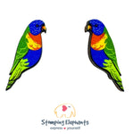 Lorikeet Studs