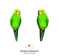 Budgie (Green) Studs
