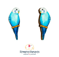 Budgie (Blue) Studs