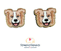 Border Collie (Blonde) Head Studs