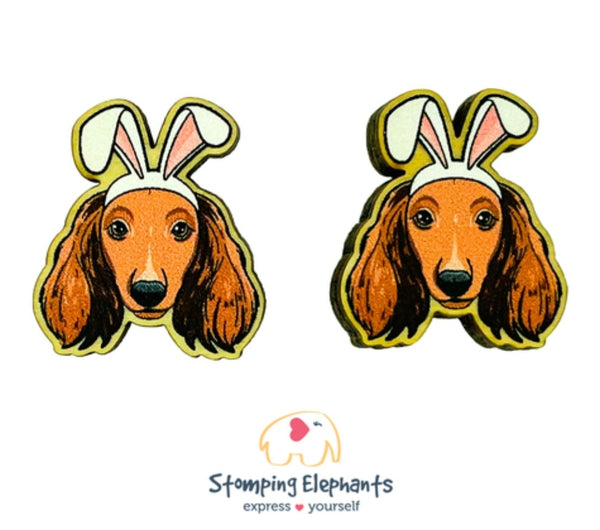 Dachshund (Brown Long Haired Easter) Studs