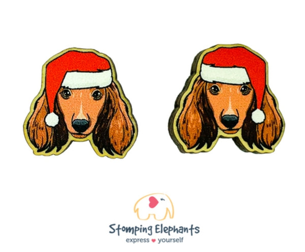 Dachshund (Brown Long Haired Christmas) Studs