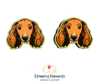 Dachshund (Brown Long Haired) Studs